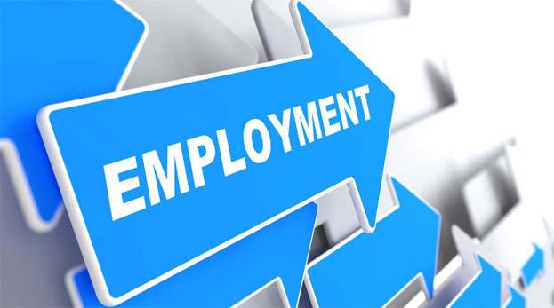 Employment
