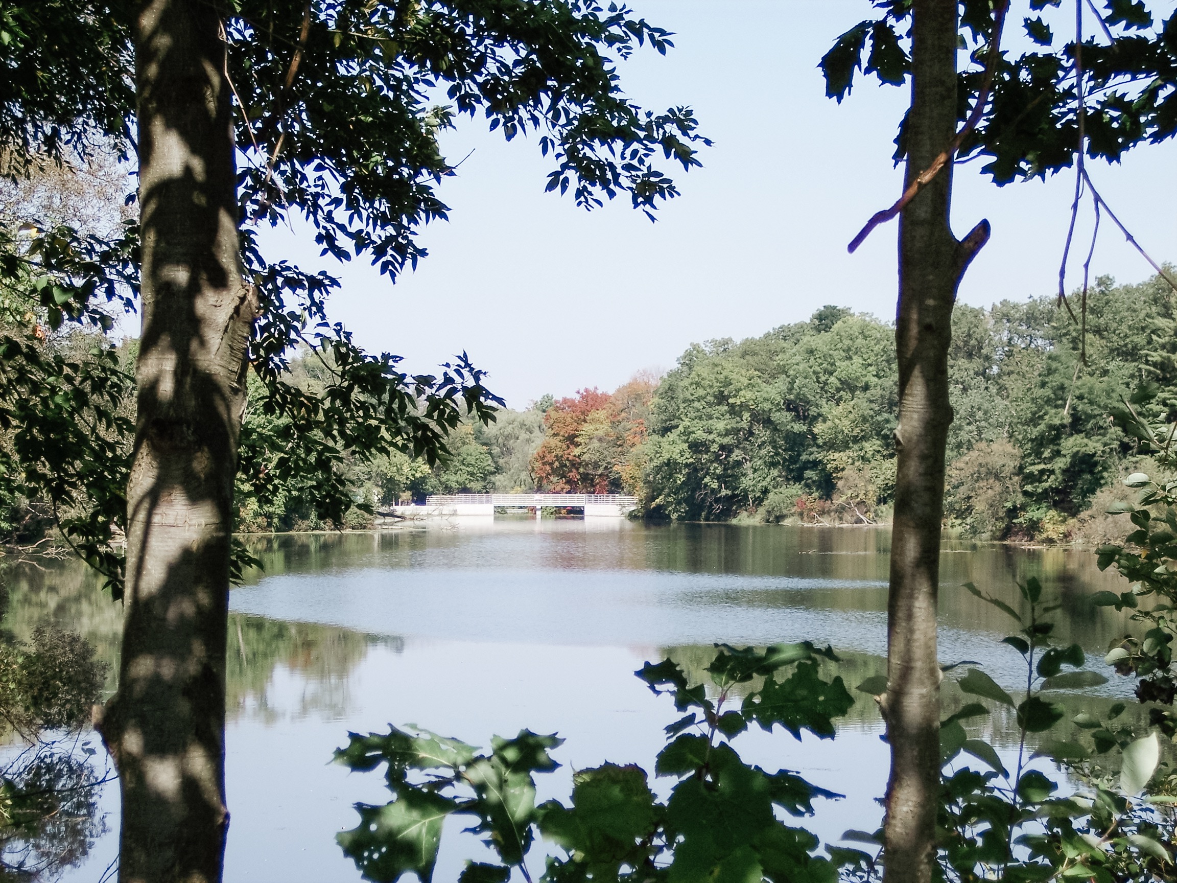 Millpond