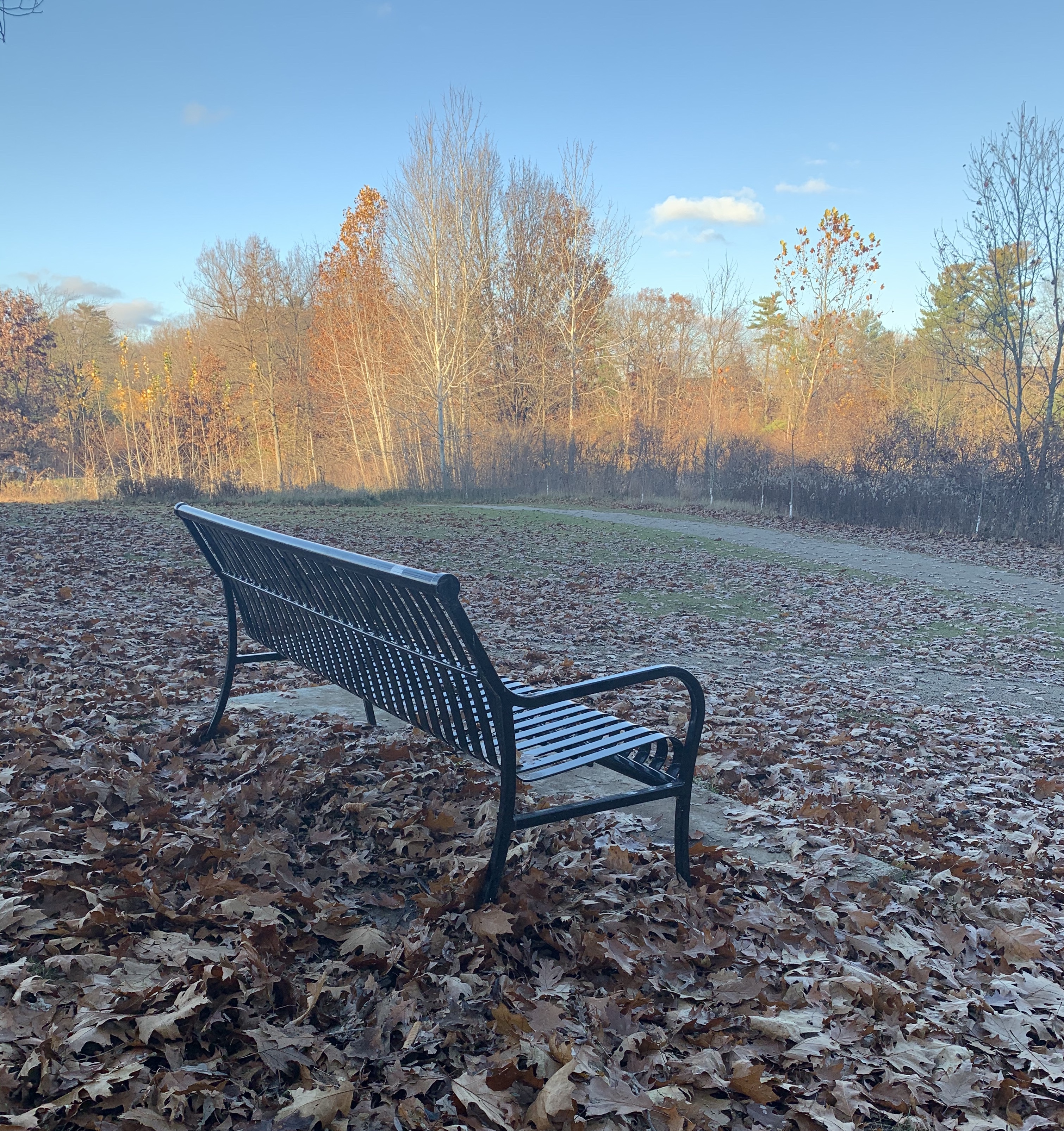 Memorial Bench