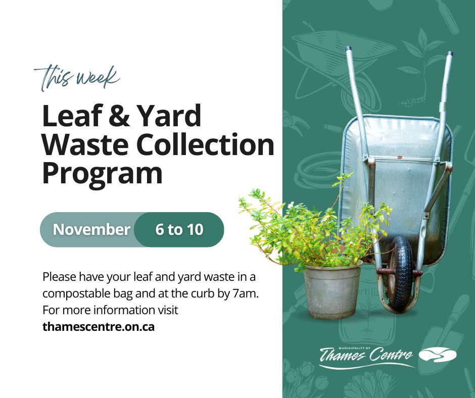 Leaf and Yard Waste collection