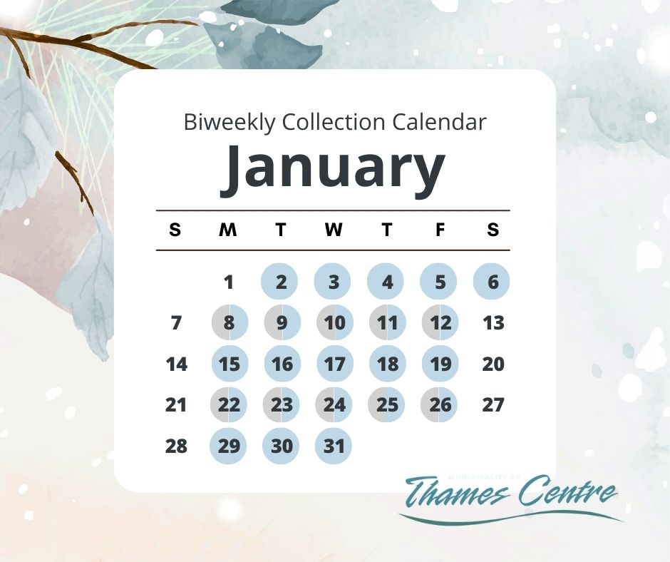 january collection calendar