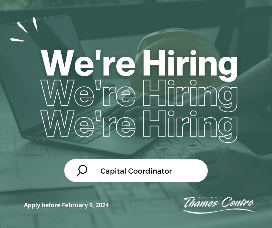 project coordinator at computer