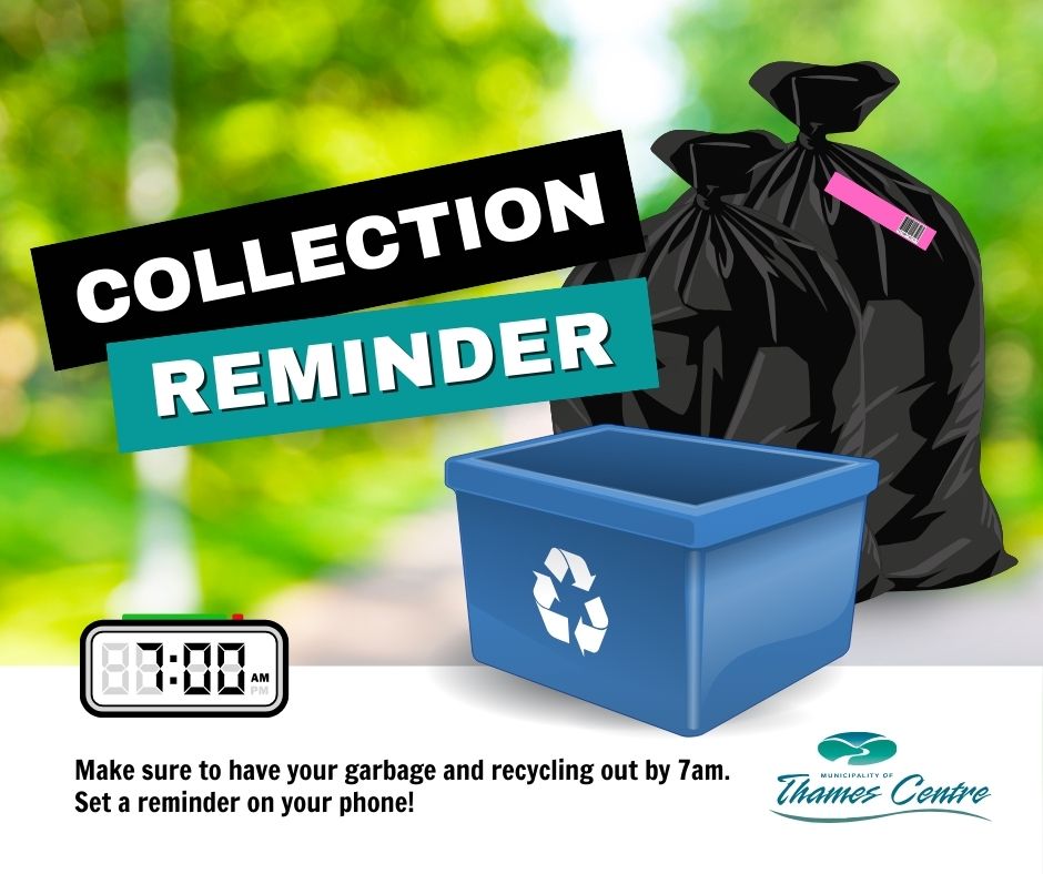 garbage bag and recycling bin