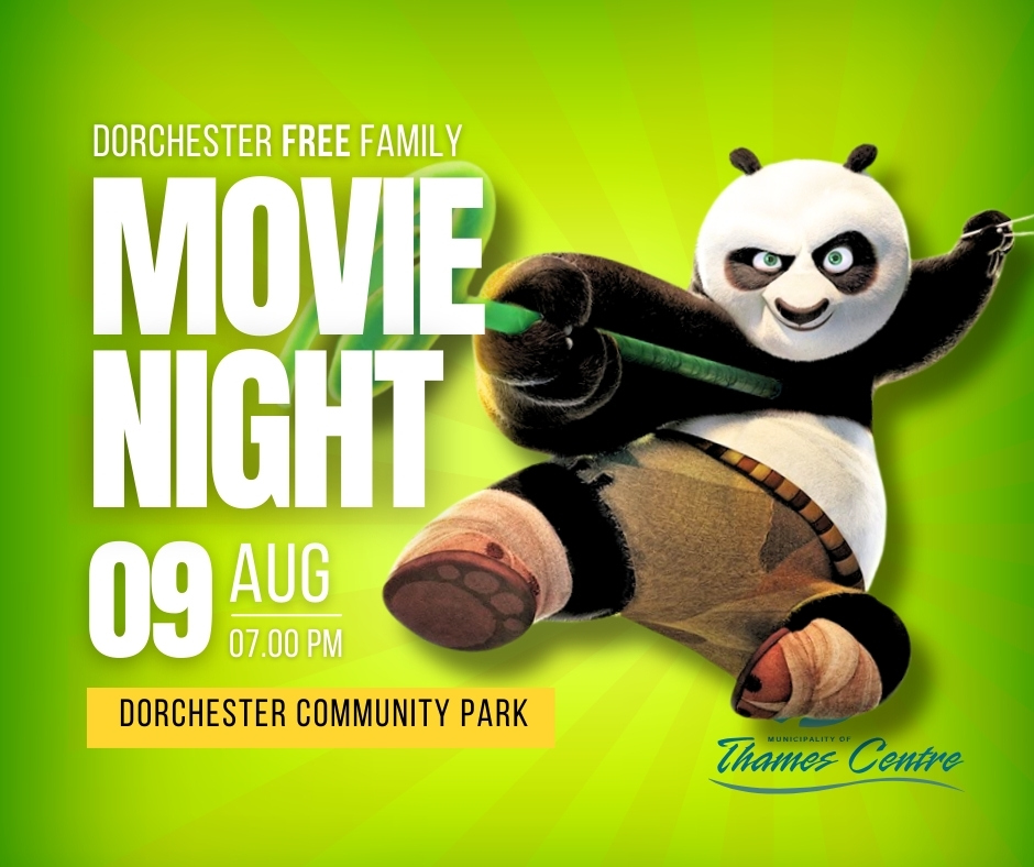 kung fu panda ninja kicking