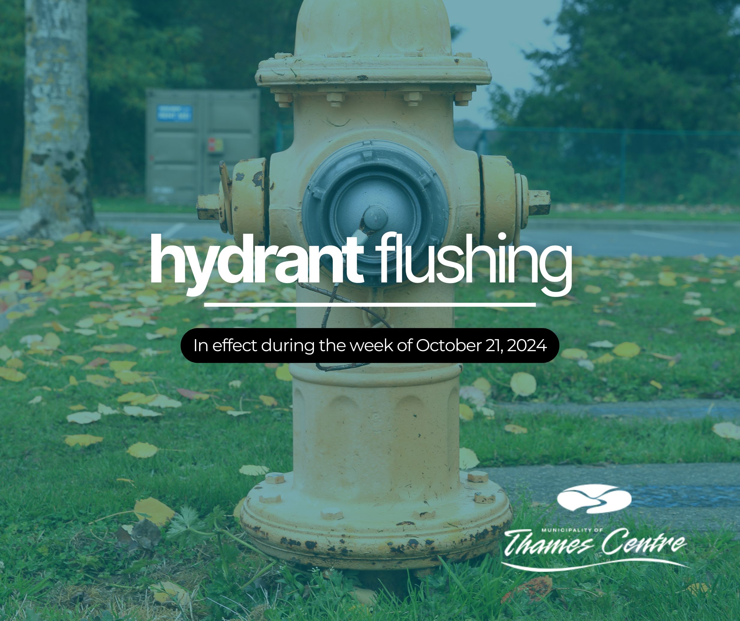 Fire Hydrant