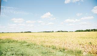 Farm Field