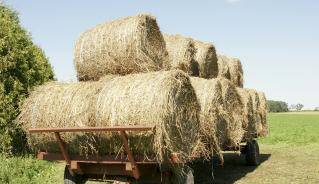 hay bails