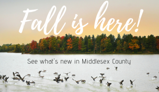 Fall Newsletter