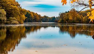 Mill Pond Mill Pond